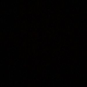 Meet your Posher, Bailey